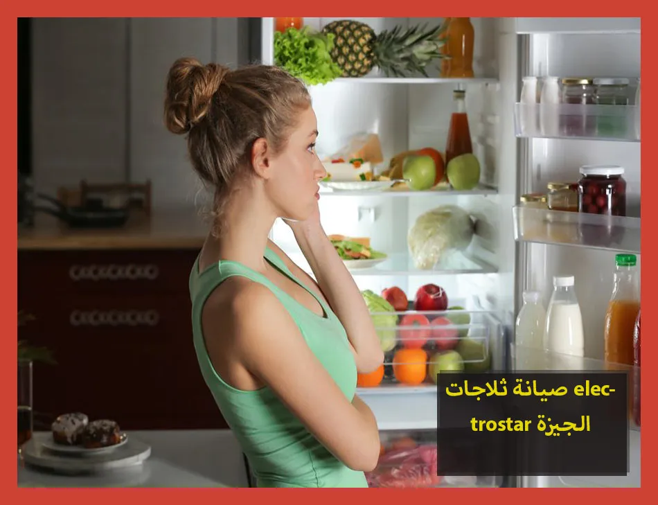 صيانة ثلاجات electrostar الجيزة | صيانة ثلاجات الكتروستار