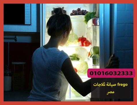 صيانة ثلاجات frego مصر | صيانة ثلاجات فريجو
