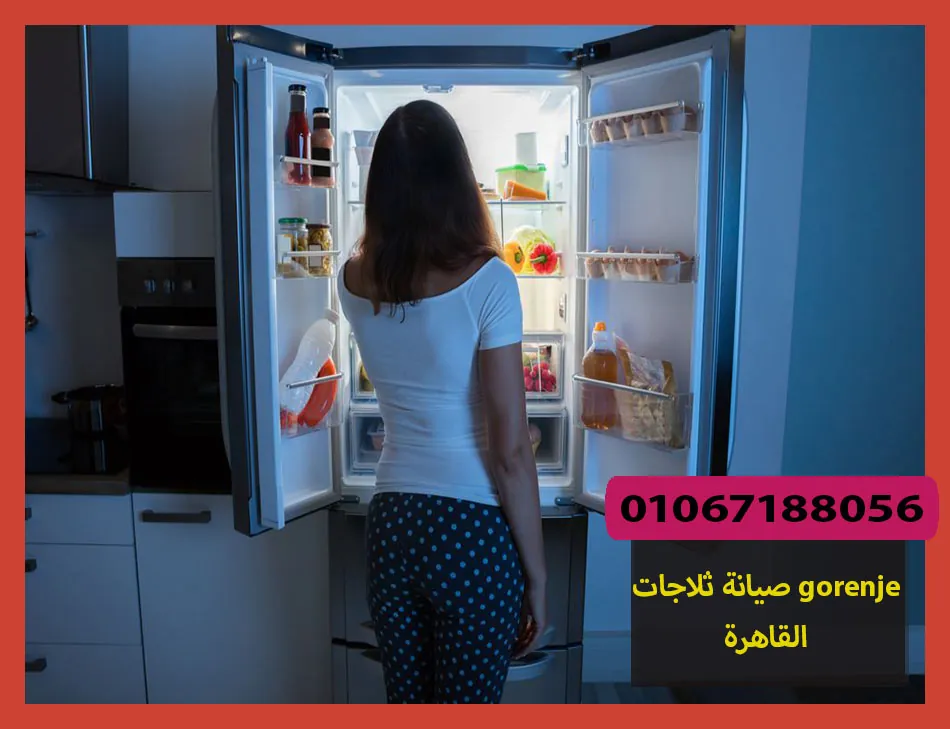 صيانة ثلاجات gorenje القاهرة