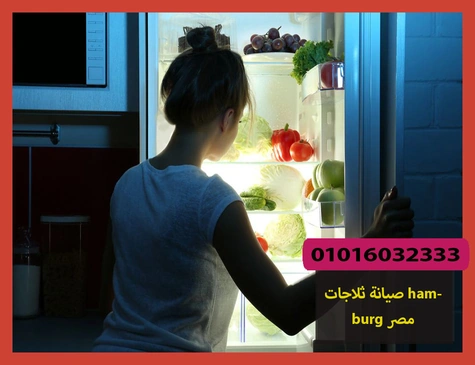 صيانة ثلاجات hamburg مصر | صيانة ثلاجات هامبورج
