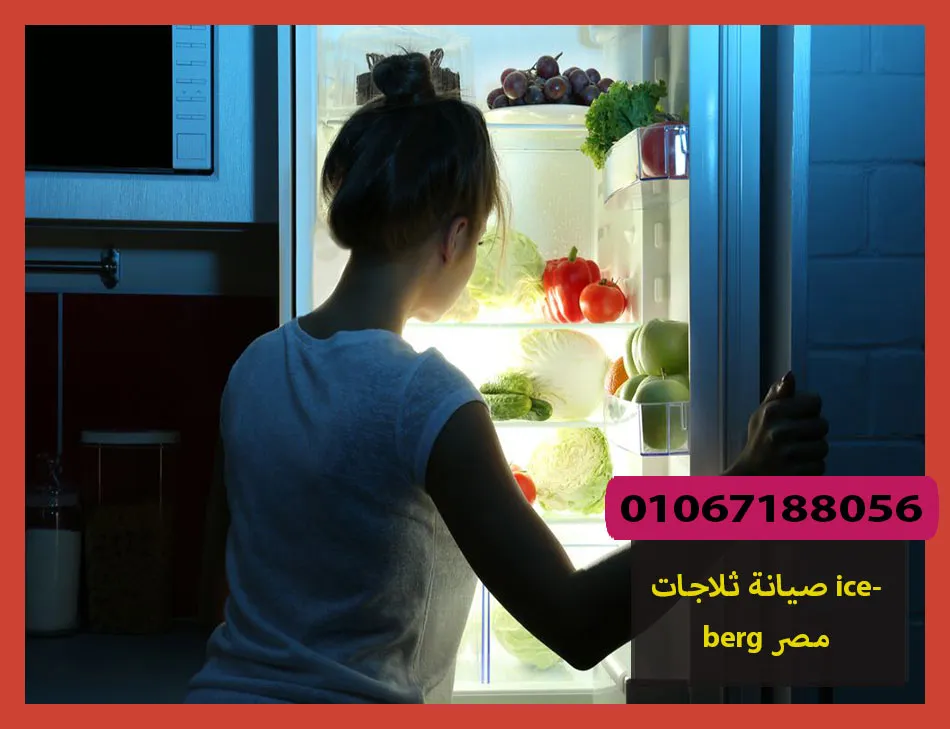 صيانة ثلاجات iceberg مصر | صيانة ثلاجات ايسبرج