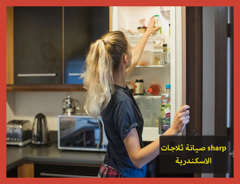 صيانة ثلاجات sharp الاسكندرية | صيانة ثلاجات شارب