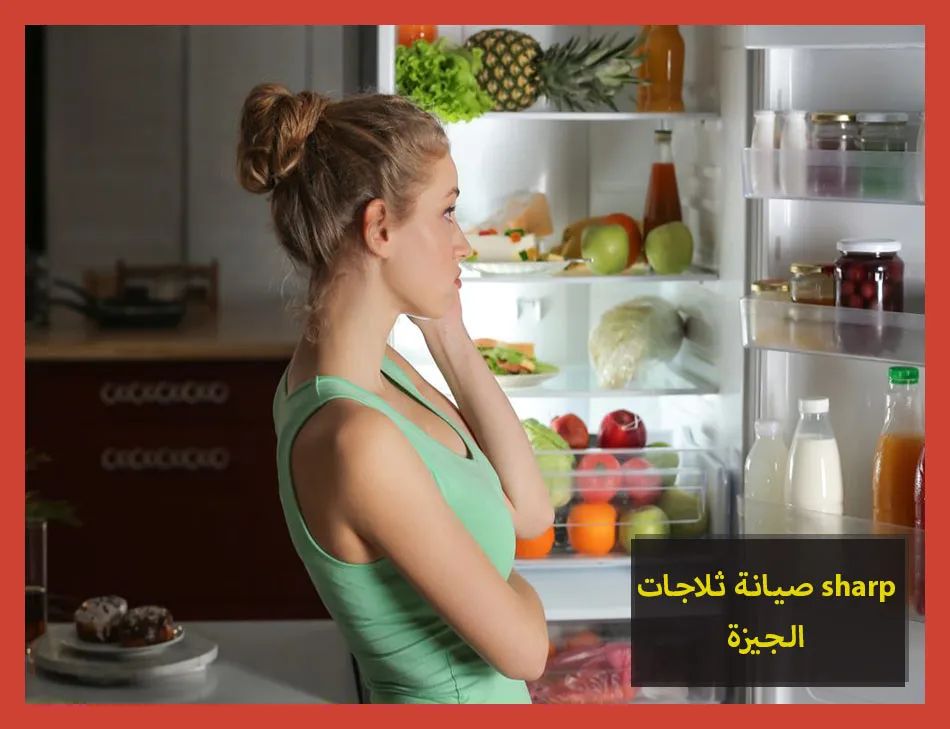 صيانة ثلاجات sharp الجيزة | صيانة ثلاجات شارب