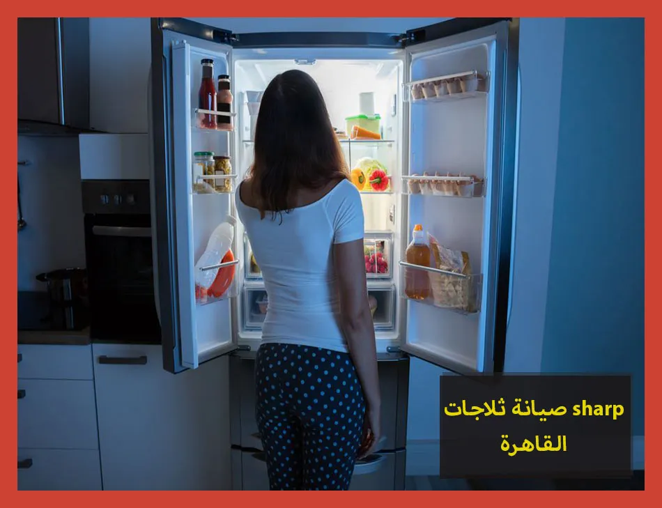 صيانة ثلاجات sharp القاهرة | صيانة ثلاجات شارب