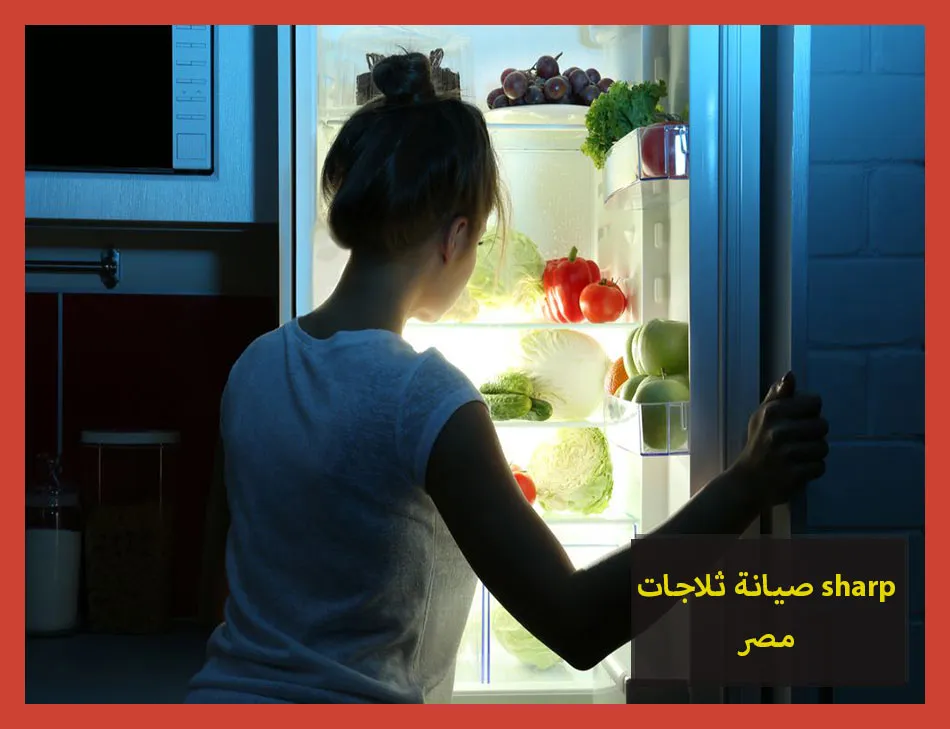 صيانة ثلاجات sharp مصر | صيانة ثلاجات شارب