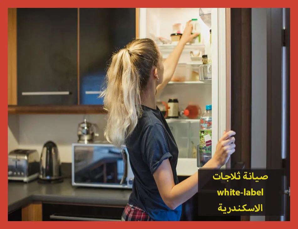 صيانة ثلاجات white label الاسكندرية | صيانة ثلاجات وايت ليبل