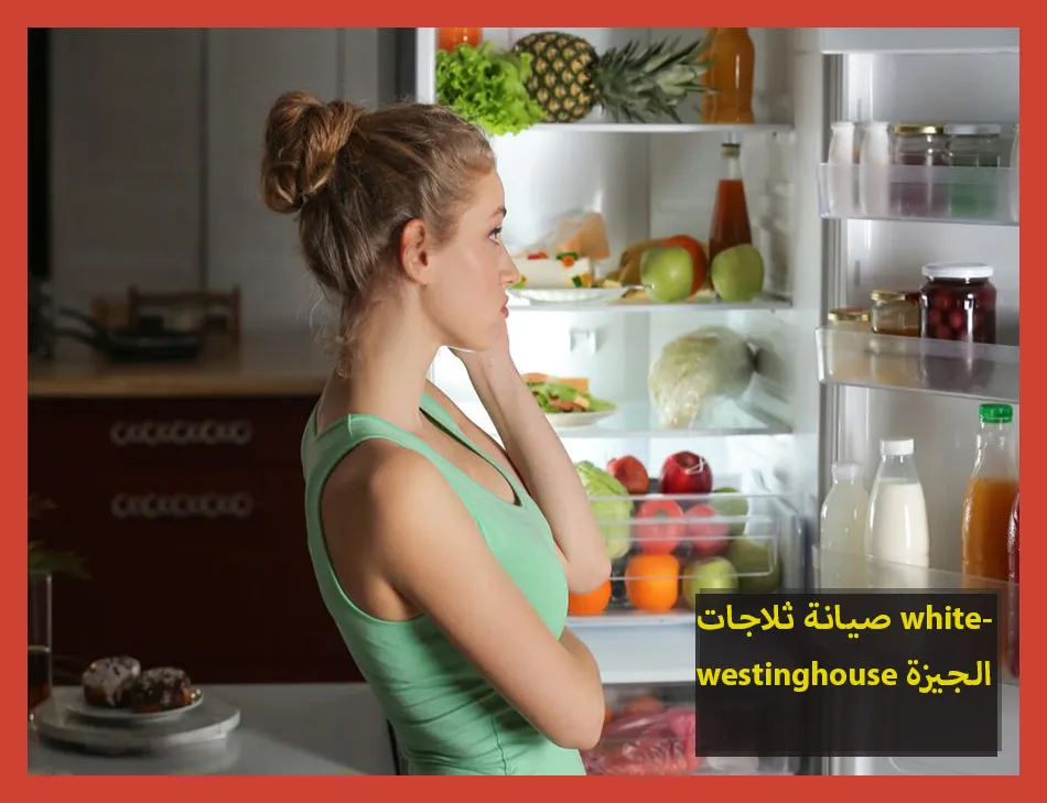 صيانة ثلاجات whitewestinghouse الجيزة