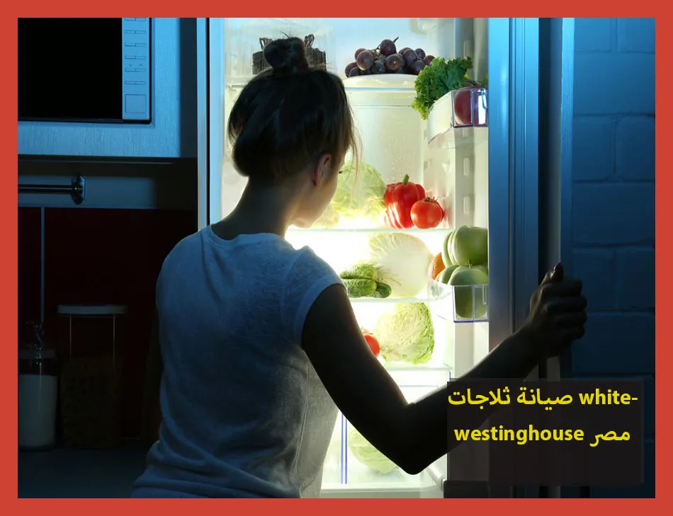 صيانة ثلاجات whitewestinghouse مصر