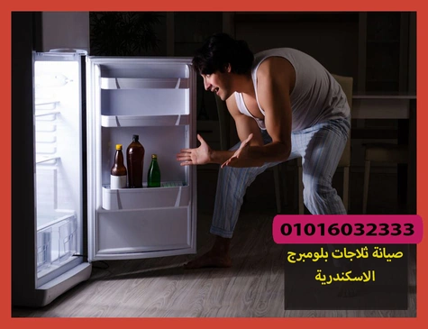 صيانة ثلاجات بلومبرج الاسكندرية | تصليح ثلاجات بلومبرج