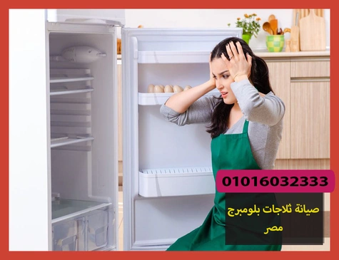 صيانة ثلاجات بلومبرج مصر