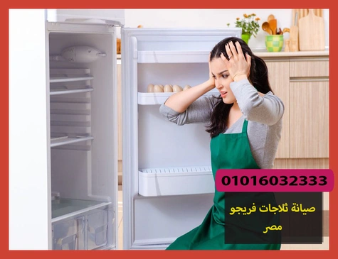 صيانة ثلاجات فريجو مصر