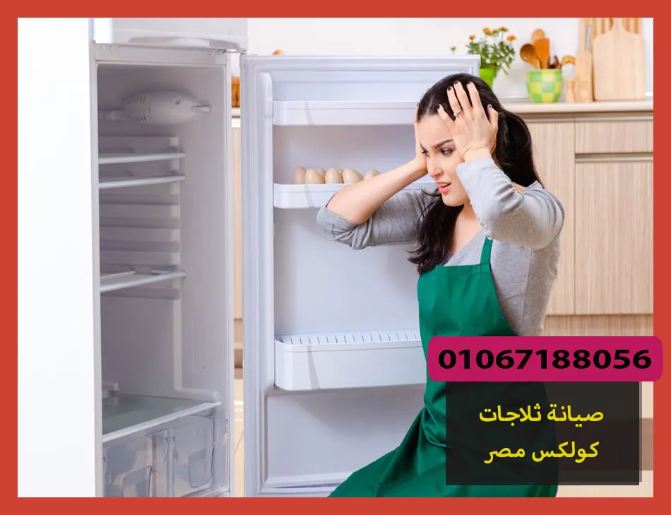 صيانة ثلاجات كولكس مصر