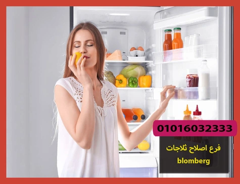فرع اصلاح ثلاجات blomberg | اصلاح ثلاجات بلومبرج