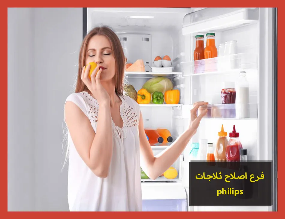 فرع اصلاح ثلاجات philips | اصلاح ثلاجات فيليبس