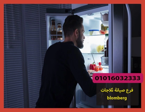فرع صيانة ثلاجات blomberg