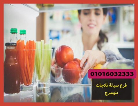 فرع صيانة ثلاجات بلومبرج