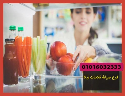 فرع صيانة ثلاجات تيكا