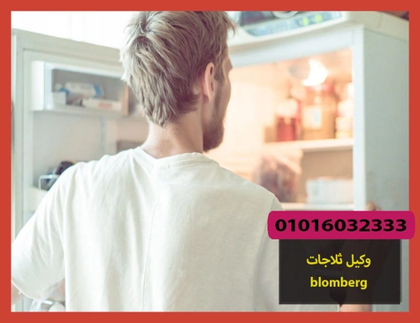 وكيل ثلاجات blomberg