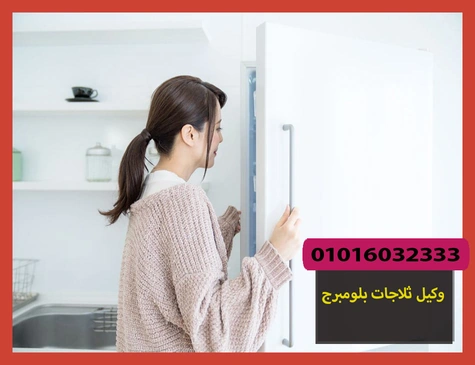 وكيل ثلاجات بلومبرج