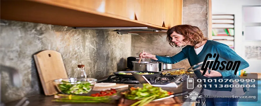 صيانة جيبسون